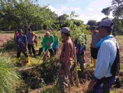Sinergi TNI-Polri, Muspika dan Petani Kulo: Irigasi Bersih Menuju Kemandirian Pangan