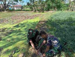 Personel Staf Kodim 1420/Sidrap Tanam Pohon untuk Hijaukan Lingkungan Kantor