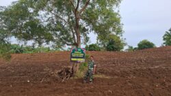 Babinsa Koramil 1420-05/Dua Pitue melaksanakan kegiatan pendampingan pengolahan hanpangan Kodim 1420/Sidrap