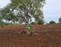 Babinsa Koramil 1420-05/Dua Pitue melaksanakan kegiatan pendampingan pengolahan hanpangan Kodim 1420/Sidrap