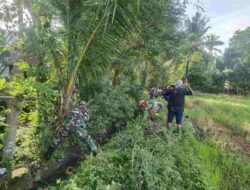Penuhi Kebutuhan Air Petani, Babinsa Ajak Anggota Poktan Dan Warga Bersihkan Saluran Irigasi