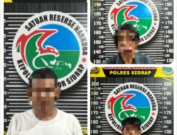 Penggerebekan Dini Hari di Maritengngae, Sat Resnarkoba Sidrap Ringkus Komplotan Pengedar Narkotika