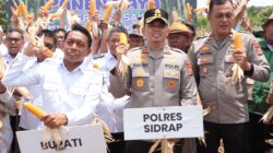 Wujud Kolaborasi, Kapolres Sidrap Bersama Forkompimda Pimpin Langsung Tanam dan Panen Jagung di Desa Mattirotasi