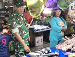 Pastikan Stok Aman, Babinsa Koramil 1420-03 Pantau Harga Sembako di Pasar Sentral Pangkajene