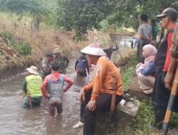 Peduli Lingkungan, Koramil 01/Panca Lautang Bersama Masyarakat Bersihkan Irigasi Bilokka