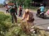 Wujudkan Lingkungan Asri, Babinsa Pancarijang Gelar Karya Bakti Bersama Warga Rijang Panua